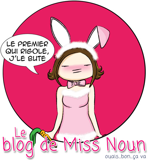Le blog de Miss Noun